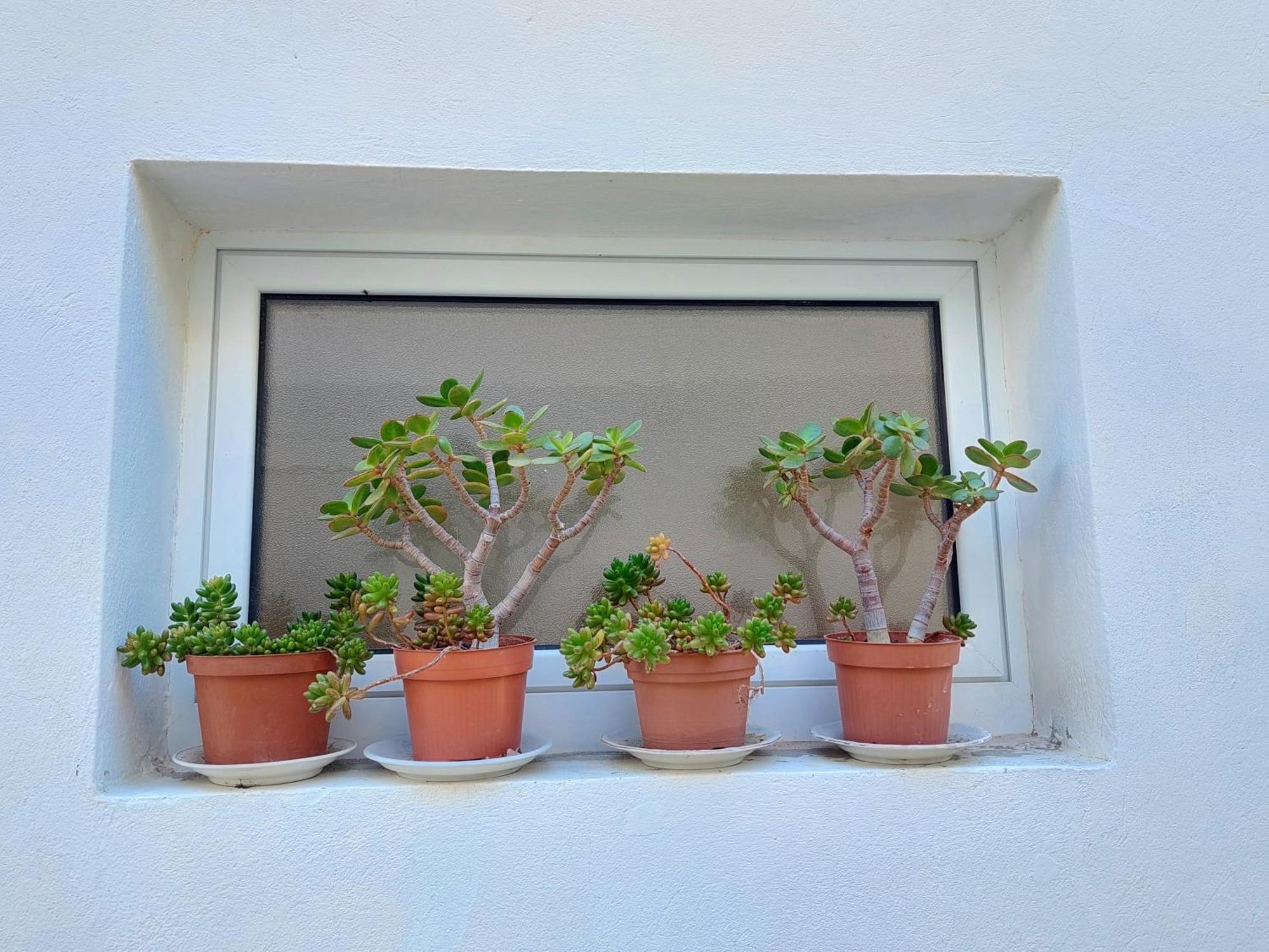 Vila Luka Hvar Town Bagian luar foto
